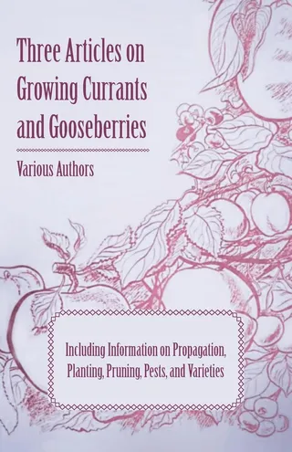 Three Articles on Growing Currants and Gooseberries