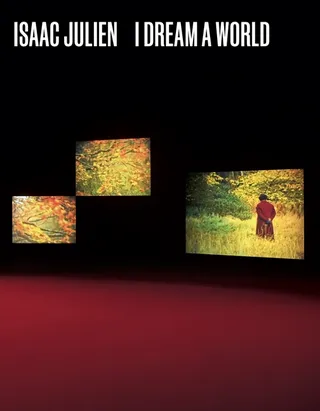 Isaac Julien