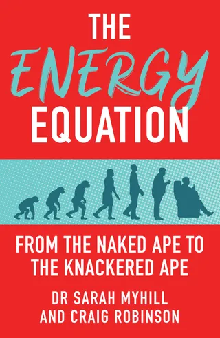 Energy Equation
