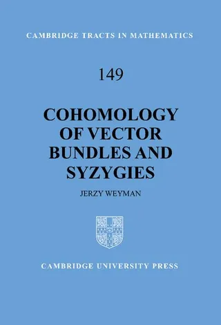 Cohomology of Vector Bundles and Syzygies