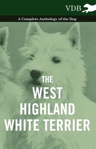 The West-Highland White Terrier