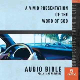 Audio Bible