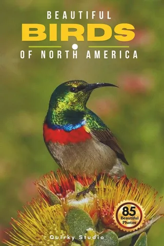 Beautiful Birds of North America