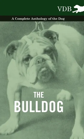 The Bulldog - A Complete Anthology of the Dog