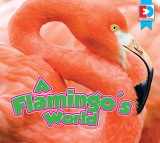 Flamingo's World