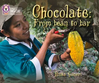 Chocolate