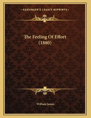 The Feeling of Effort
