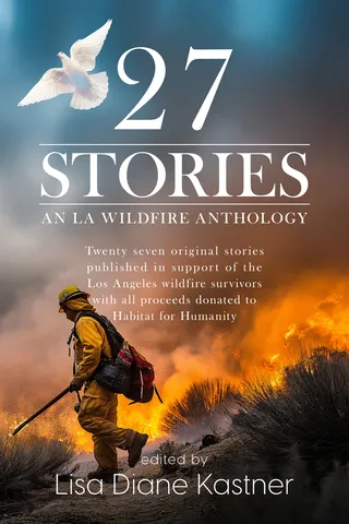 27 Stories
