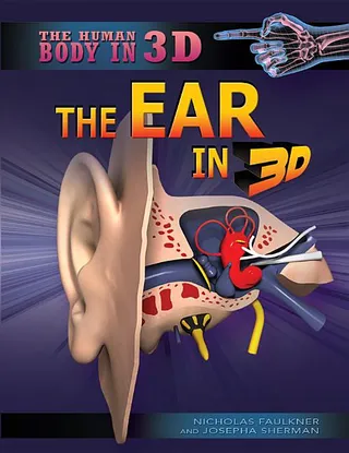 The Ear in 3D