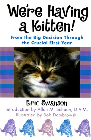 We're Having a Kitten!