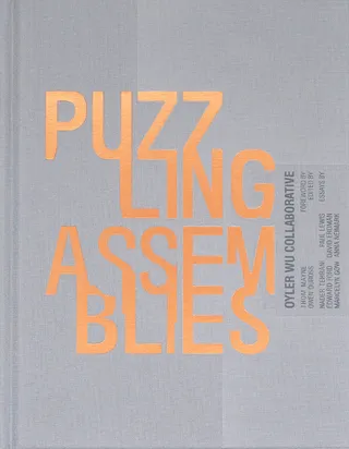 Puzzling Assemblies