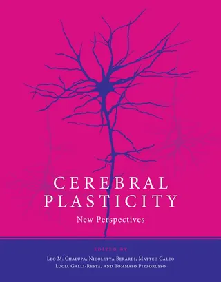 Cerebral Plasticity