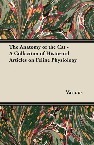 The Anatomy of the Cat