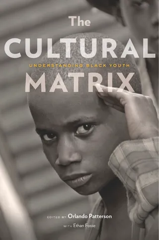 The Cultural Matrix