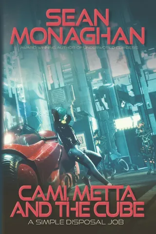 Cami, Metta and the Cube