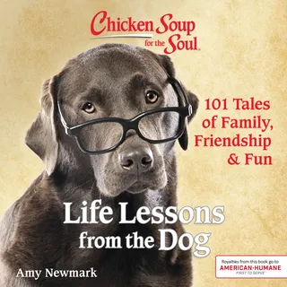 Life Lessons from the Dog