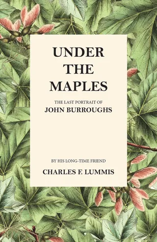 Under the Maples