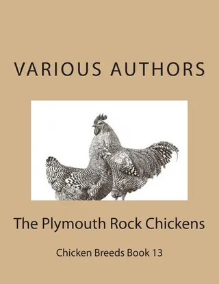 The Plymouth Rock Chickens
