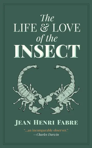 Life and Love of the Insect