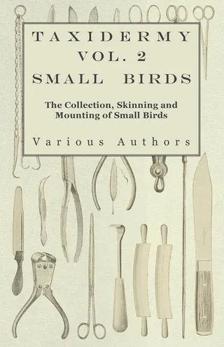 Taxidermy Vol. 2 Small Birds