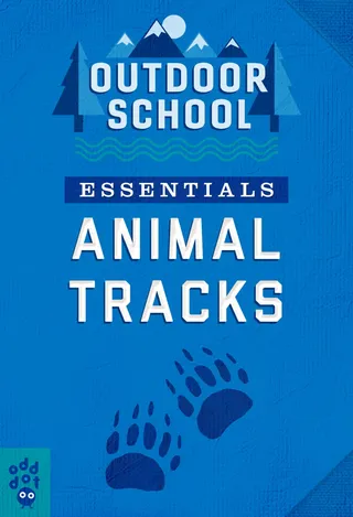 Outdoor School Essentials