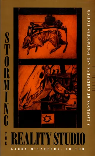 Storming the Reality Studio