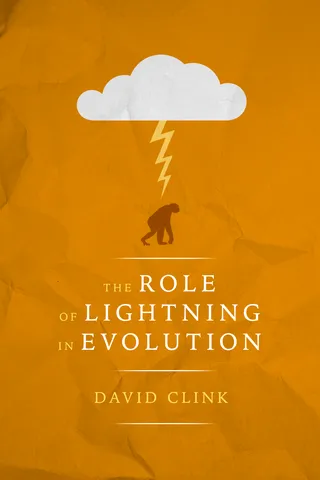 Role of Lightning in Evolution