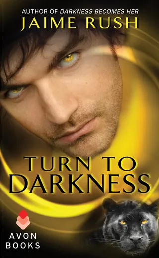 Turn to Darkness