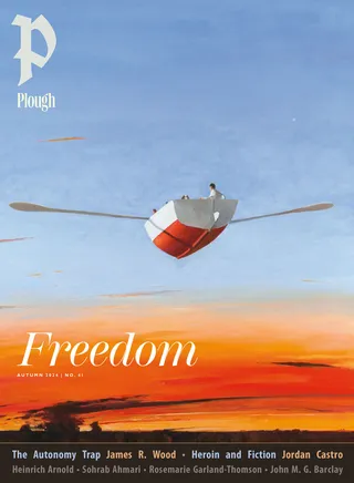 Plough Quarterly No. 41
