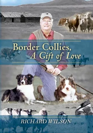 Border Collies A Gift of Love