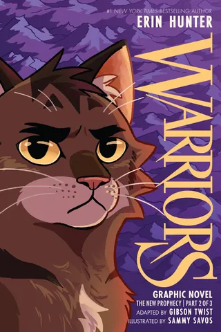 Warriors Graphic Novel