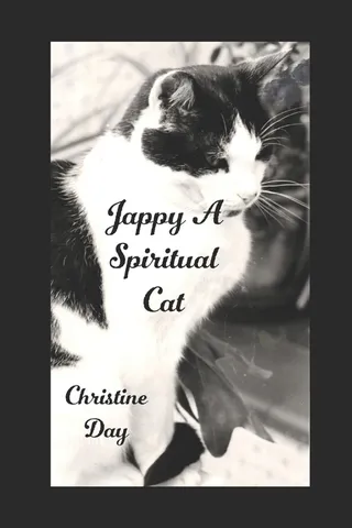 Jappy A Spiritual Cat