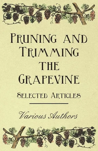 Pruning and Trimming the Grapevine
