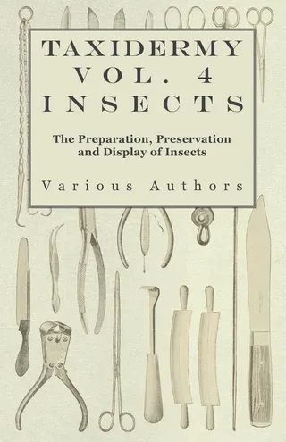 Taxidermy Vol. 4 Insects