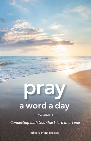 Pray a Word a Day Volume 1