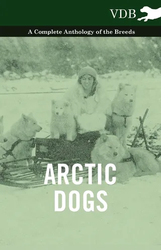 Arctic Dogs