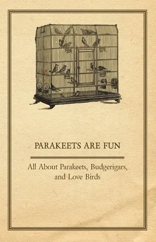 Parakeets are Fun