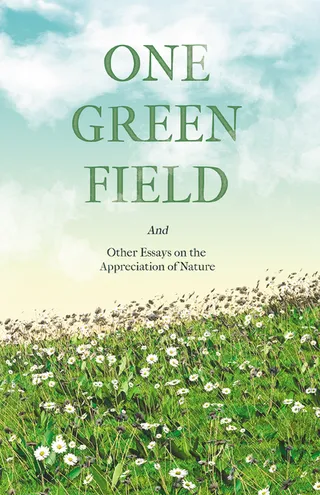 One Green Field