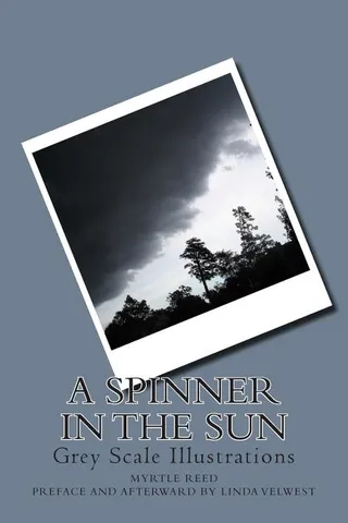 A Spinner in the Sun