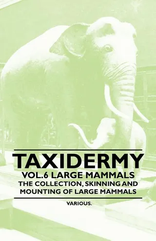 Taxidermy Vol. 6 Large Mammals