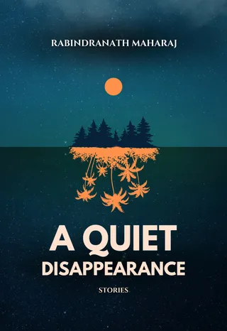 A Quiet Disappearance