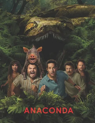Anaconda