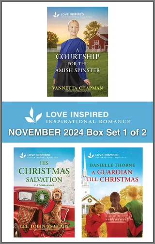 Love Inspired November 2024 Box Set