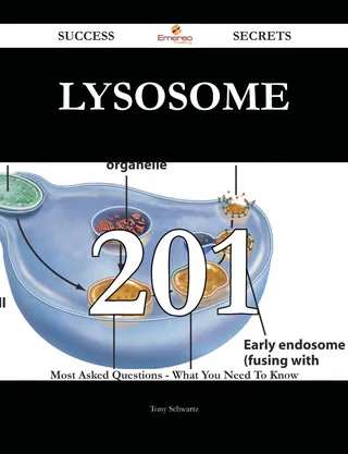 Lysosome