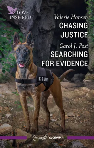 Chasing Justice / Searching For Evidence