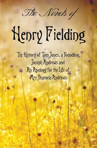 The Novels of Henry Fielding