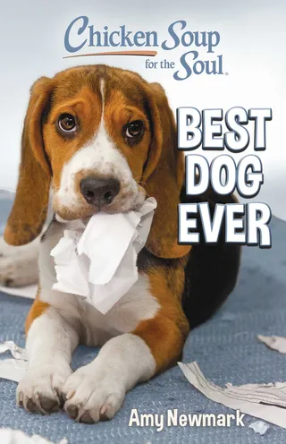 Best Dog Ever