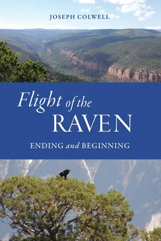 Flight of the Raven