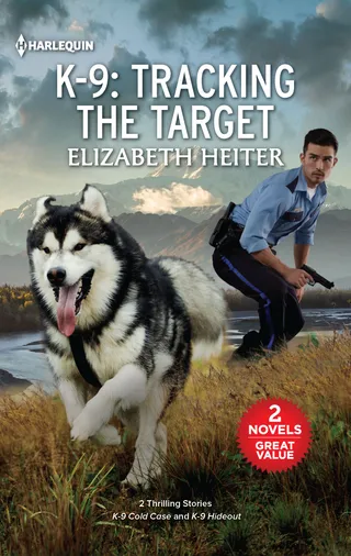 Tracking the Target