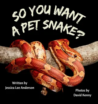 So You Want a Pet Snake?
